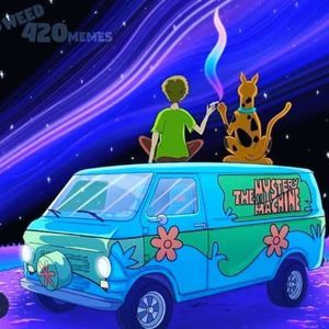 Meet your Posher, Pedro